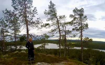 Turvalasi säröille – System Crasher