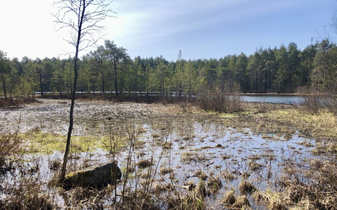 Tekemisen ilo välittyy katsomoon asti