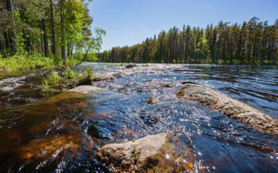 Joki virtaa ihmisten selkäytimessä sukupolvesta toiseen