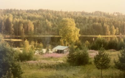 Olen nähnyt kuinka paarmasavut matelevat matalana peltojen vierustaa – kirjassa IFA (2013/2026)